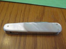 Hen & Rooster Voss Cut Co Germany Gunstock Pearl Lobster 