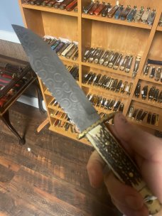 Damascus Bowie 