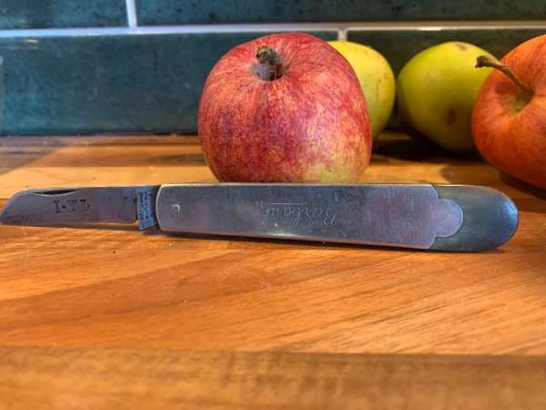 IXL George Wostenholm Burbank Budding Knife