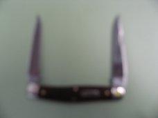 GREAT EASTERN 818222 COON SKINNER