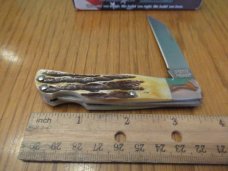Bear Stag Folding Lock Back Model # 509