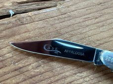 Case Serpentine Peanut Commemorative Appaloosa Jack A6220, Closed Length: 2 3/4” (69mm)