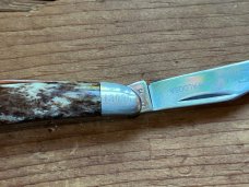 Case Serpentine Peanut Commemorative Appaloosa Jack A6220, Closed Length: 2 3/4” (69mm)