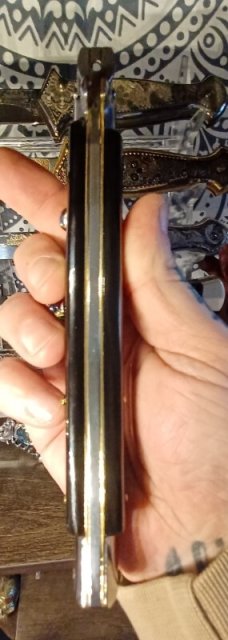 13 inch Frank Beltrame dark horn