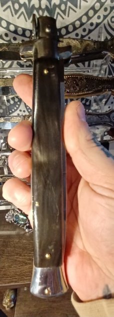 13 inch Frank Beltrame dark horn