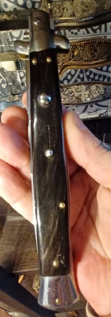 13 inch Frank Beltrame dark horn