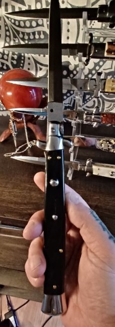 13 inch Frank Beltrame dark horn
