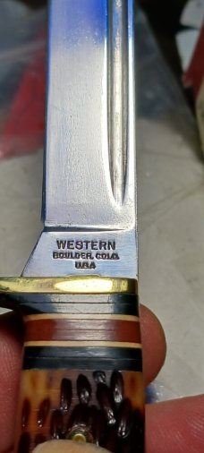 Western Bird n Trout