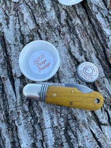 GEC TIDIOUTE 252123 BEERLOW EZ OPEN OSAGE ORANGE