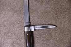 CASE XX 54052 40-65 SMALL CONGRESS STAG