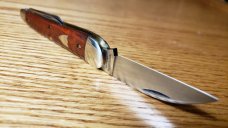Great Eastern Cutlery Bloodwood Splitback Whittler 380321 New Mint W/Tube & Wax Paper 3 7/8" closed.
