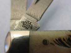 Case XX 2023 Damascus Vintage Bone Small Coke Bottle Pattern #V6225 1/2DAM 