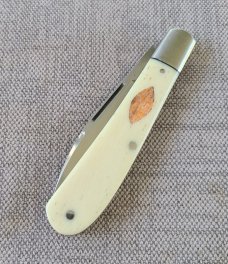 K'roo Giraffe Bone Zulu..Rwl34..4"..Fluted bolsters..filework..Dyed Bone Zulu War Shield..coa/slip 