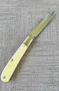 K'roo Giraffe Bone Zulu..Rwl34..4"..Fluted bolsters..filework..Dyed Bone Zulu War Shield..coa/slip 