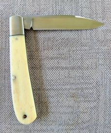 K'roo Giraffe Bone Zulu..Rwl34..4"..Fluted bolsters..filework..Dyed Bone Zulu War Shield..coa/slip 
