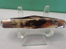 Case XX 1981 Appaloosa Bone Half Whittler Pattern # A6208