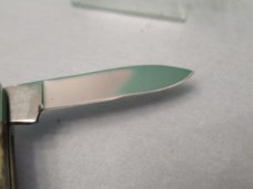 Case XX 1981 Appaloosa Bone Half Whittler Pattern # A6208