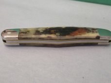 Case XX 1981 Appaloosa Bone Half Whittler Pattern # A6208