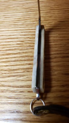 Great Eastern Cutlery Sambar Stag 052121 Knife New/Mint W/Leather Strap, Ring, Tube & waxed paper