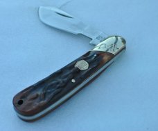 Rough Rider 1 Blade Cotton Sampler Gnarly Honey Handle Mint 4" Closed Mirror Polish Slant Bolster