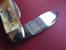 WR CASE & SONS Bradford PA USA Pearl Sunfish Pocketknife 1996 Mint