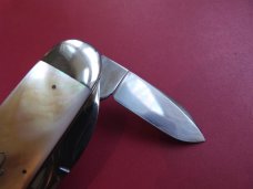 WR CASE & SONS Bradford PA USA Pearl Sunfish Pocketknife 1996 Mint