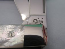 Case XX 2016 Mother Of Pearl Trapper XX on Blade Pattern # 8254 SS