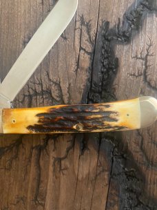 1978 Case xx red letter stag trapper 
