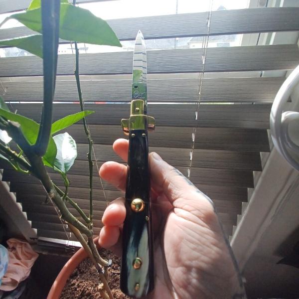 11inch Renzo Pascotto Frosolone 
