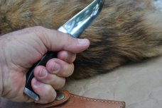 Stockdale Recurve Finger Groove Hunter Mint 8 1/2" OAL Black Micarta Handle Hidden Tang MirrorPolish