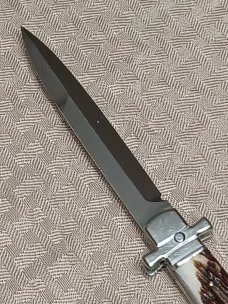 9"  AGA Campolin Dominus Stag Horn. 