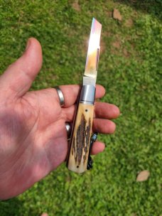 Vincenzo Balistreri Sambar Stag and San Mai White Wolf...4" closed..interior lanyard and bead..coa/s