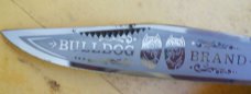 German Bulldog Trapper Knife Stag 