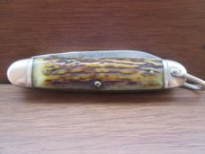Royal Brand Scout/Utility Knife    Stag Handles 