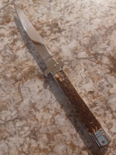 9" AKC Stag Leverletto Plus by Bill DeShivs