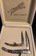 2COLORFUL TOOTHPICKS IN A CASE 