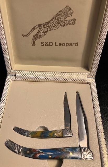 2COLORFUL TOOTHPICKS IN A CASE 