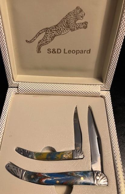 2COLORFUL TOOTHPICKS IN A CASE 