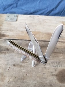 Queen #24 BirdsEye Maple (BEM) Trapper
