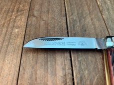 German Eye Carl Schlieper Half Congress Brown Jigged Bone
