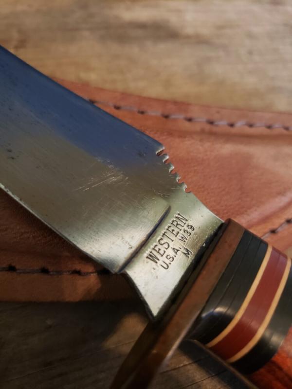 Western USA - W39 Hunting and Skinning Knife 1989 by Coleman