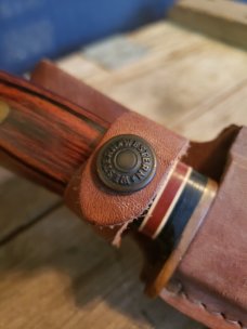 Western USA - W39 Hunting and Skinning Knife 1989 by Coleman