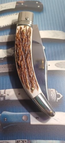 AGA CAMPOLIN DIANA