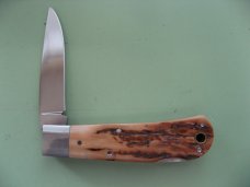 BOBBY TOOLE MAMMOTH