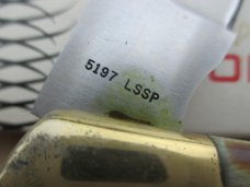 Case Shark Tooth Stag Lockback   NIB 