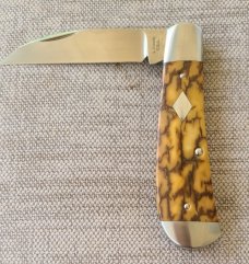 Andy Fannin Custom Mammoth Ivory Swayback...coa/slip..CPM-154...3.5" closed... diamond shield