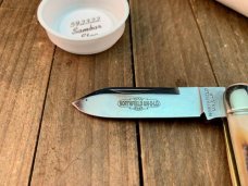 Great Eastern Cutlery Northfield 59 Split Backspring Whittler Sambar Stag