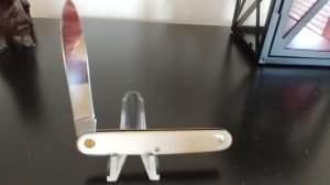 French folding Jack knife 