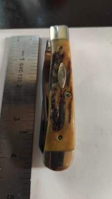 Case XX USA
