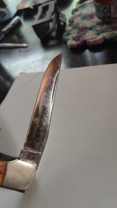 Western folding knife